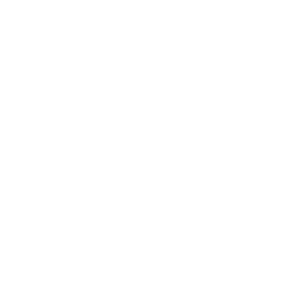 giao hàng nhanh chóng